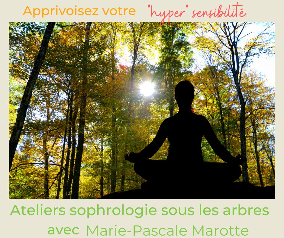 ateliers de sophrologie sous les arbres, avec Marie-Pascale Marotte sophrologue, des ateliers de sophrologie sous les arbres en individuel et en petits groupes à Tours 37