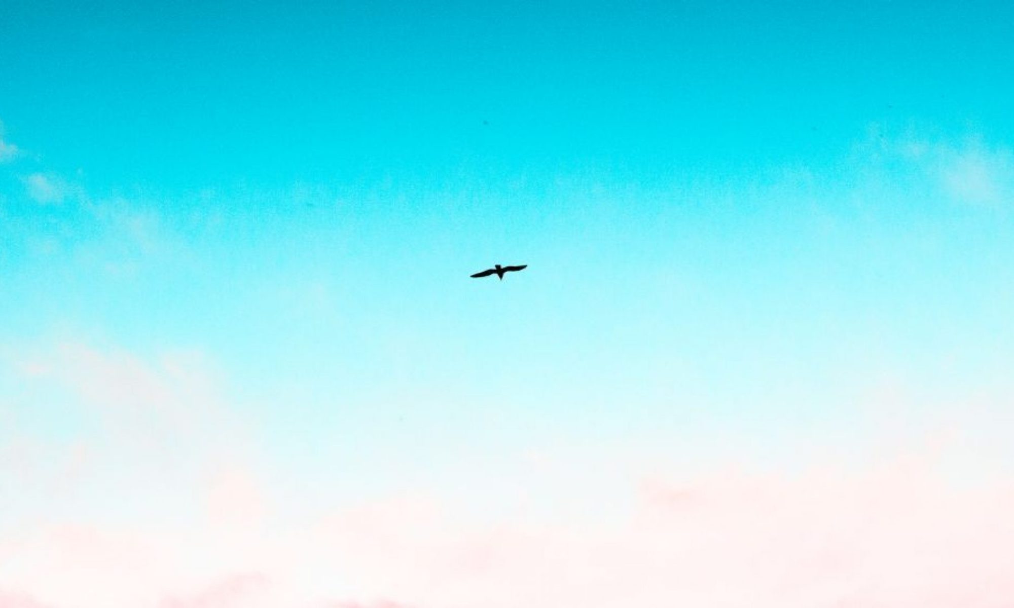 Marie-Pascale Marotte sophrologue énergéticienne à Tours 37000 ET à distance